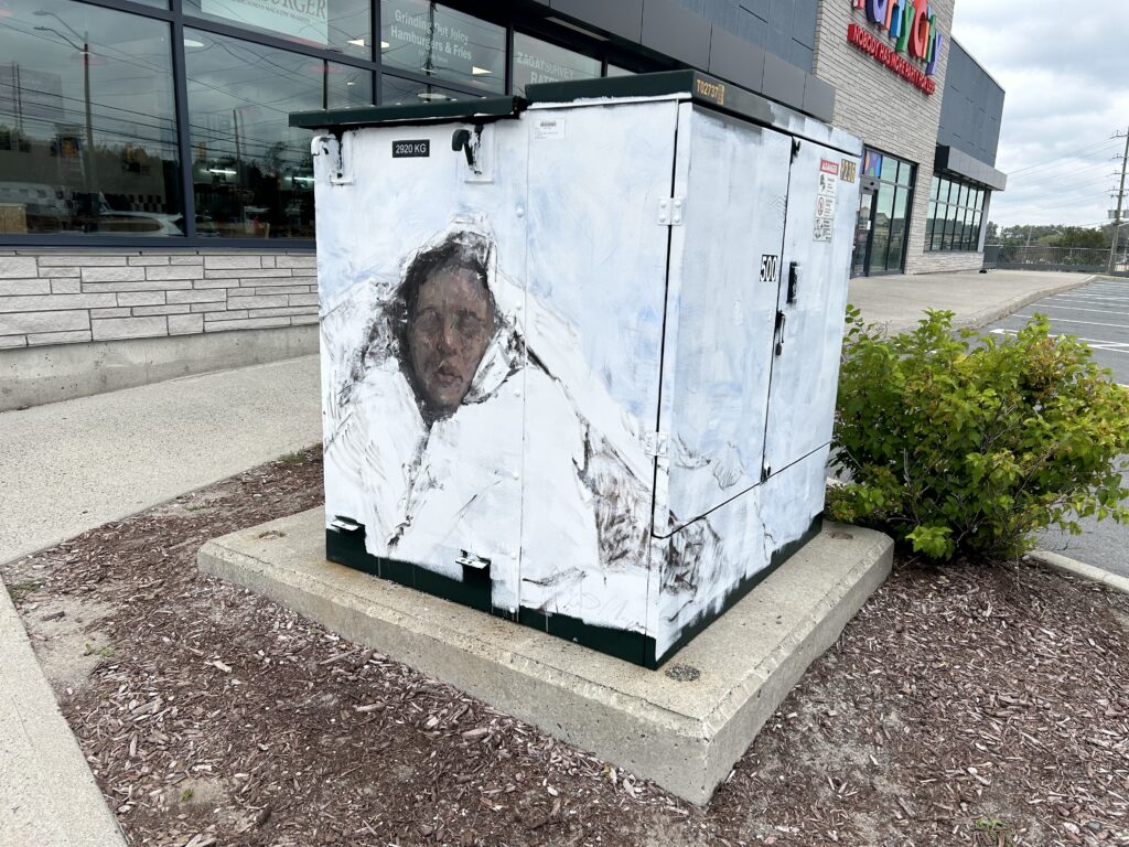 utility boxes hand painted by emerging artists from Up Here festival in sudbury